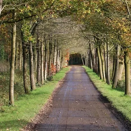 Vakantiewoning Bij Brugge *